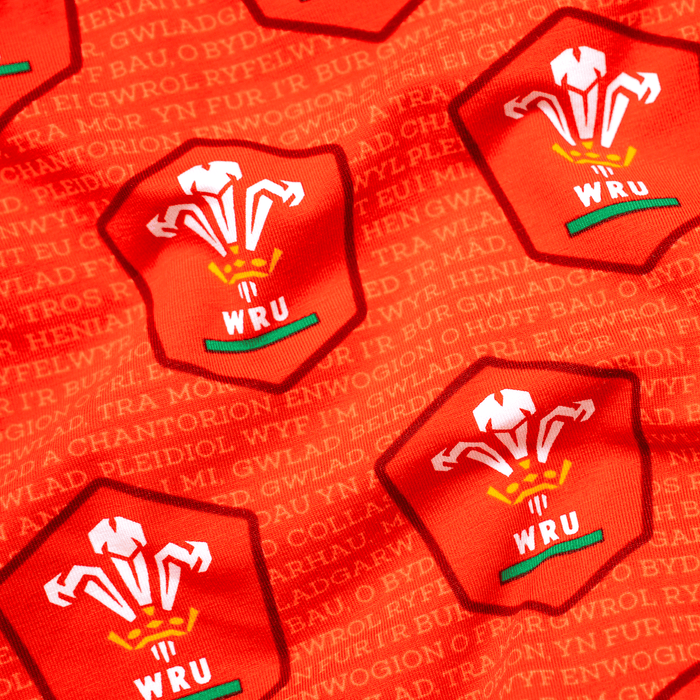 Official WRU Ladies Boxer Shorts - OddBalls® Home - Giftware Wales