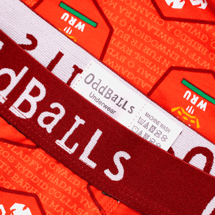 Official WRU Ladies Boxer Shorts - OddBalls® Home - Giftware Wales