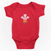 Modern Welsh Feathers - Baby Grow