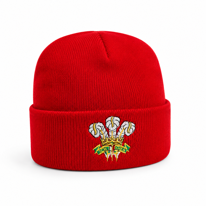 Adults Welsh Ski Hat