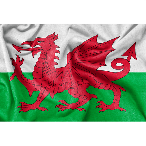 Small Welsh Flag 3Ft X 2Ft - Giftware Wales