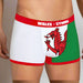 Special Offer - Mens Welsh Flag Boxer Shorts - Giftware Wales