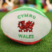 Super Soft Fleece Rugby Ball - Giftware Wales
