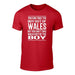 Take The Boy Out Of Wales - T Shirt - Giftware Wales