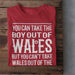 Take The Boy Out Of Wales - T Shirt - Giftware Wales