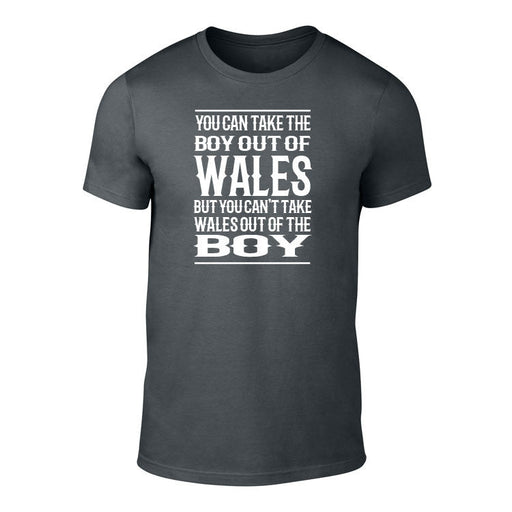 Take The Boy Out Of Wales - T Shirt - Giftware Wales