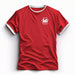 Wales / Cymru Dragon Ringer Tee - Giftware Wales