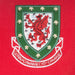 Welsh 1958 Retro Football Shirt Official Faw® - Giftware Wales