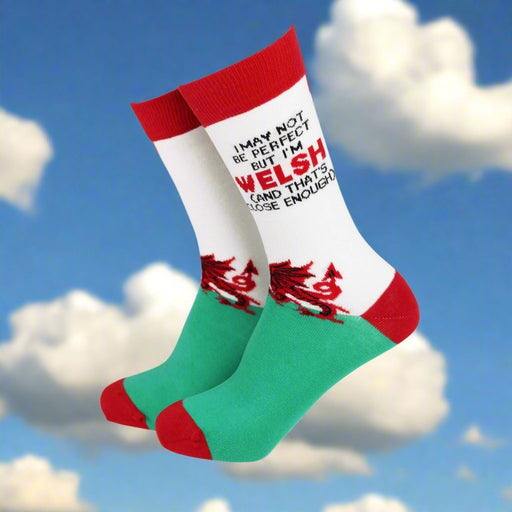 Welsh and Perfect | Womens Welsh Bamboo Socks - Giftware Wales