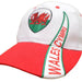 Welsh Dragon White Swoosh Cap - Giftware Wales
