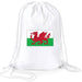 Welsh Flag Duffel Bag - Giftware Wales