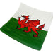 Welsh Flag Flannel - Giftware Wales