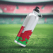 Welsh Flag Snap top Drinks bottle - #TogetherStronger - Giftware Wales