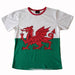 Women's - Welsh Flag Fashion Fit T Shirt - Giftware Wales