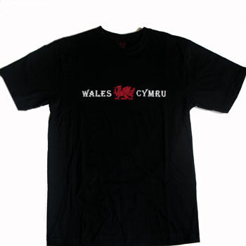 Cymru Dragon Welsh T Shirt - Children's