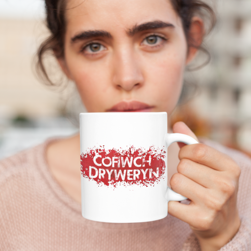 Cofiwch Dryweryn (English: "Remember Tryweryn")