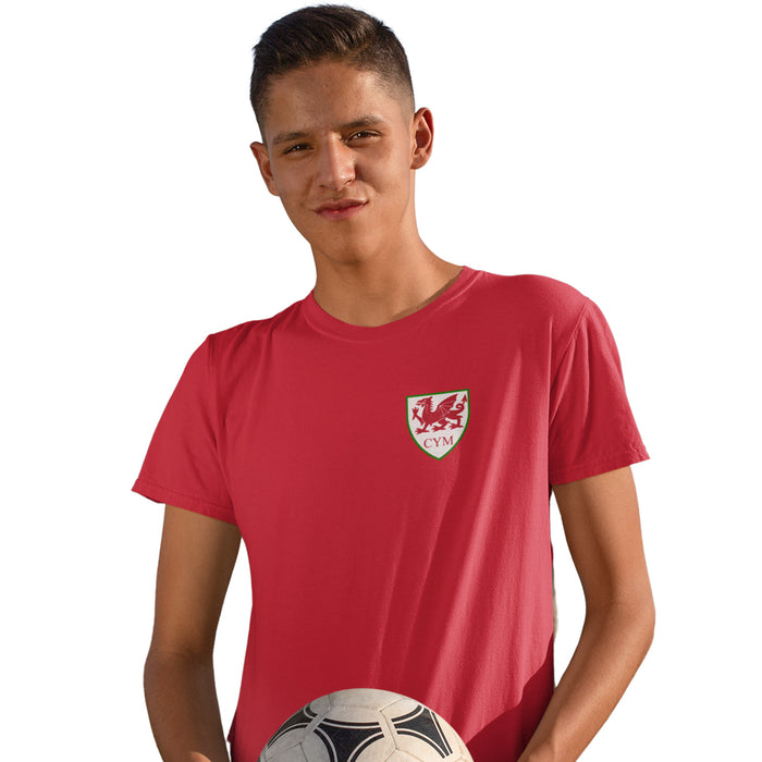 Kids Wales Football Shield T-Shirt