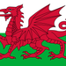 5ft X 3ft Welsh flag 