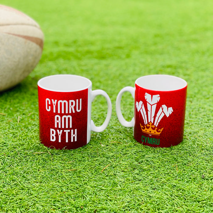 Cymru Am Byth - Welsh Feathers Mug