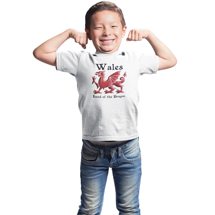 Land of the dragon - Kids Welsh T-Shirt