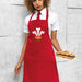 Modern Welsh Feathers - Welsh Apron 