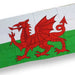 Welsh Flag Holiday Beach Towel